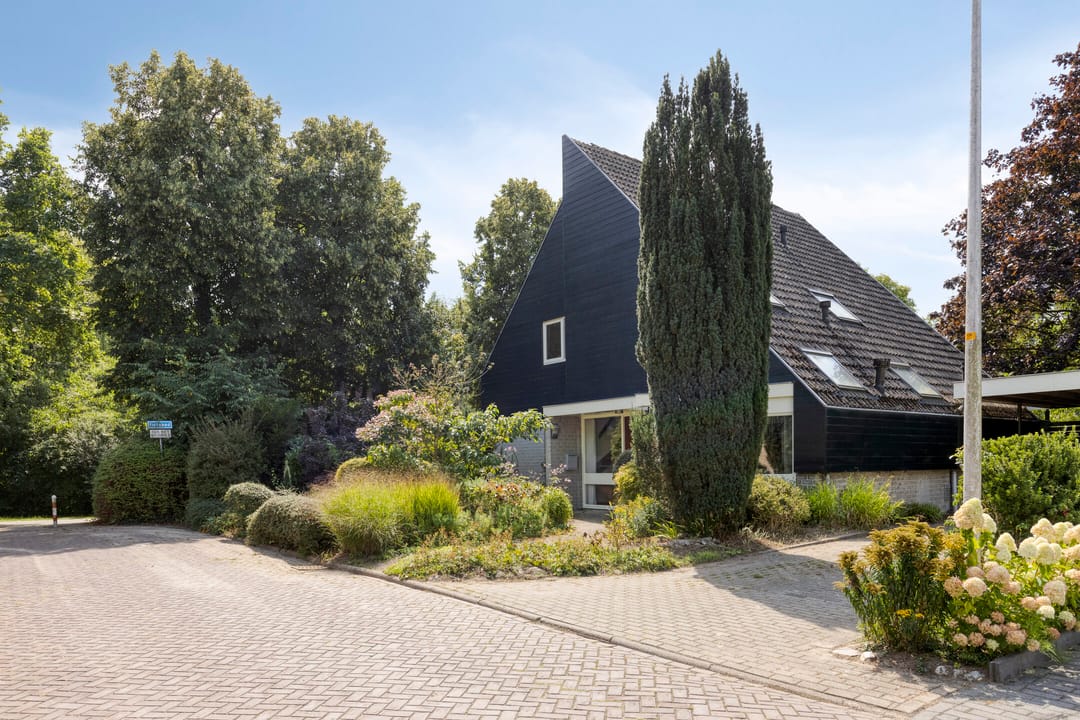 Photo 2 of Braamkamp 553
