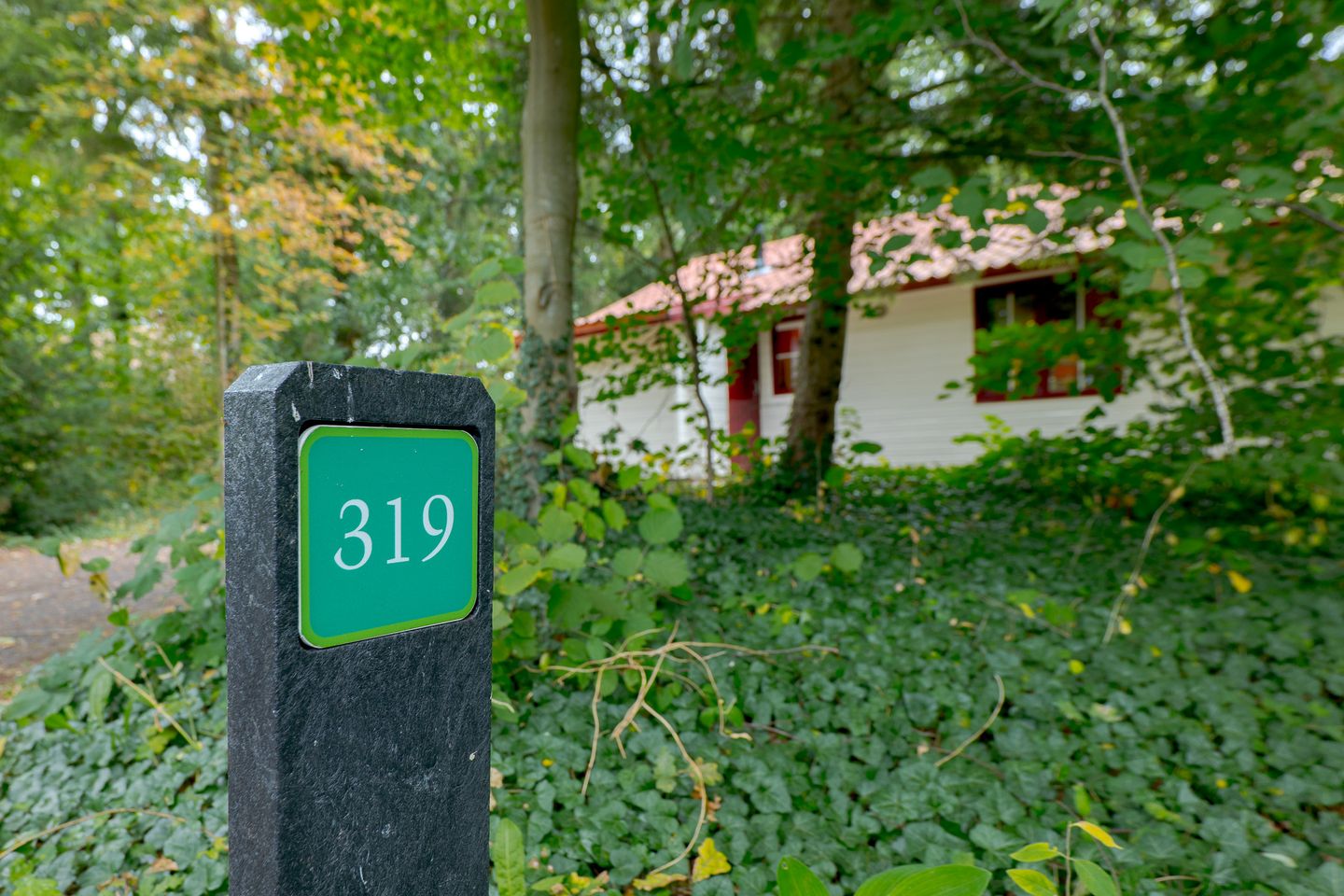 Photo 5 of Buinerweg 8-319