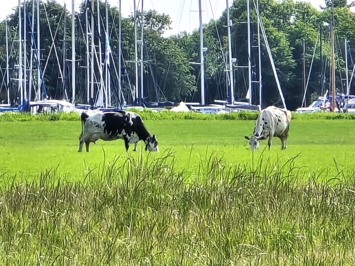 Foto 59 van Koeweg 42