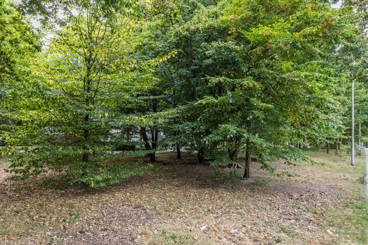 Foto 35 van Professor Verbernelaan 55