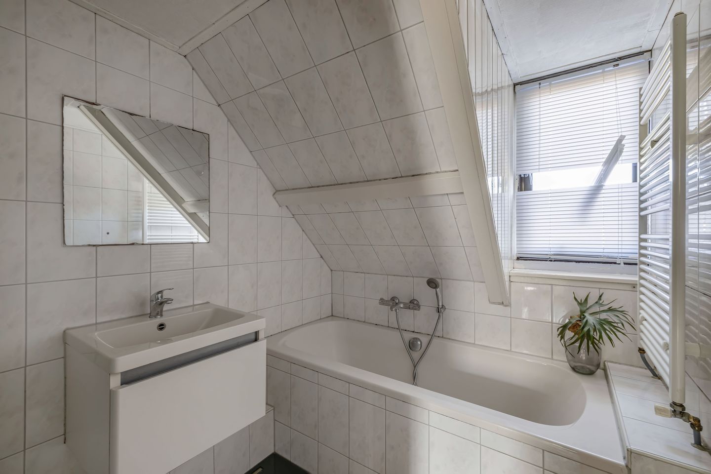 Foto 40 van Petrus Aemiliusstraat 49