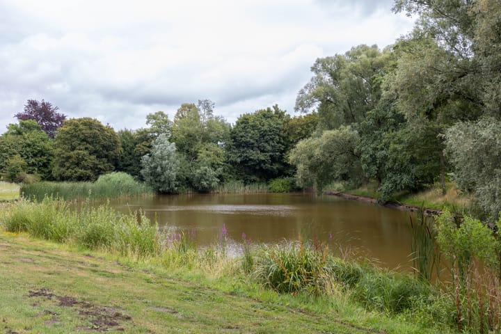 Foto 23 van Mozartstraat 42