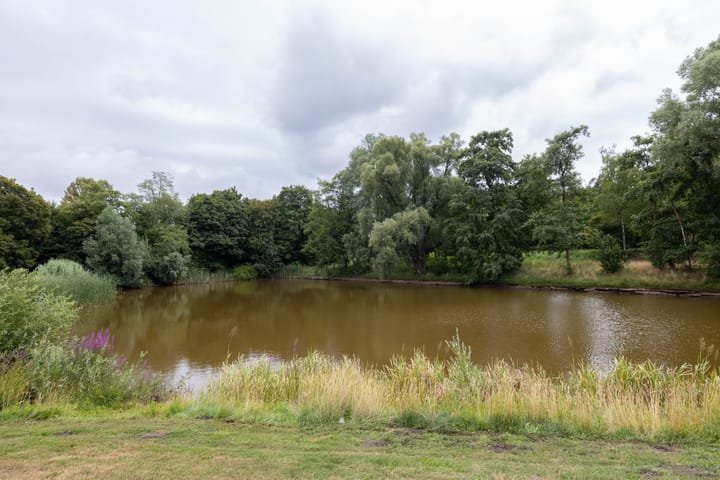 Foto 25 van Mozartstraat 42