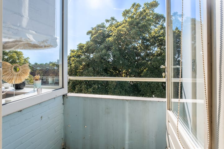 Foto 9 van Philipslaan 87-C