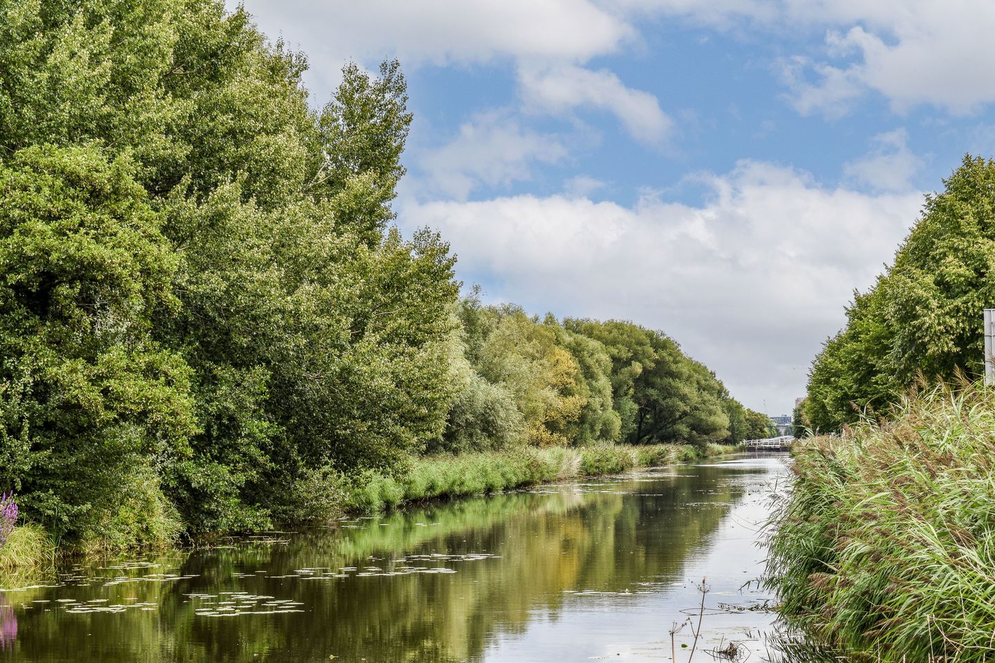 Photo 4 of Haarlemmerweg 487-H