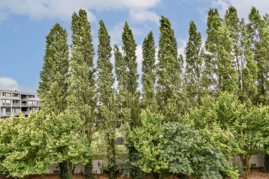 Photo 13 of Haarlemmerweg 487-H