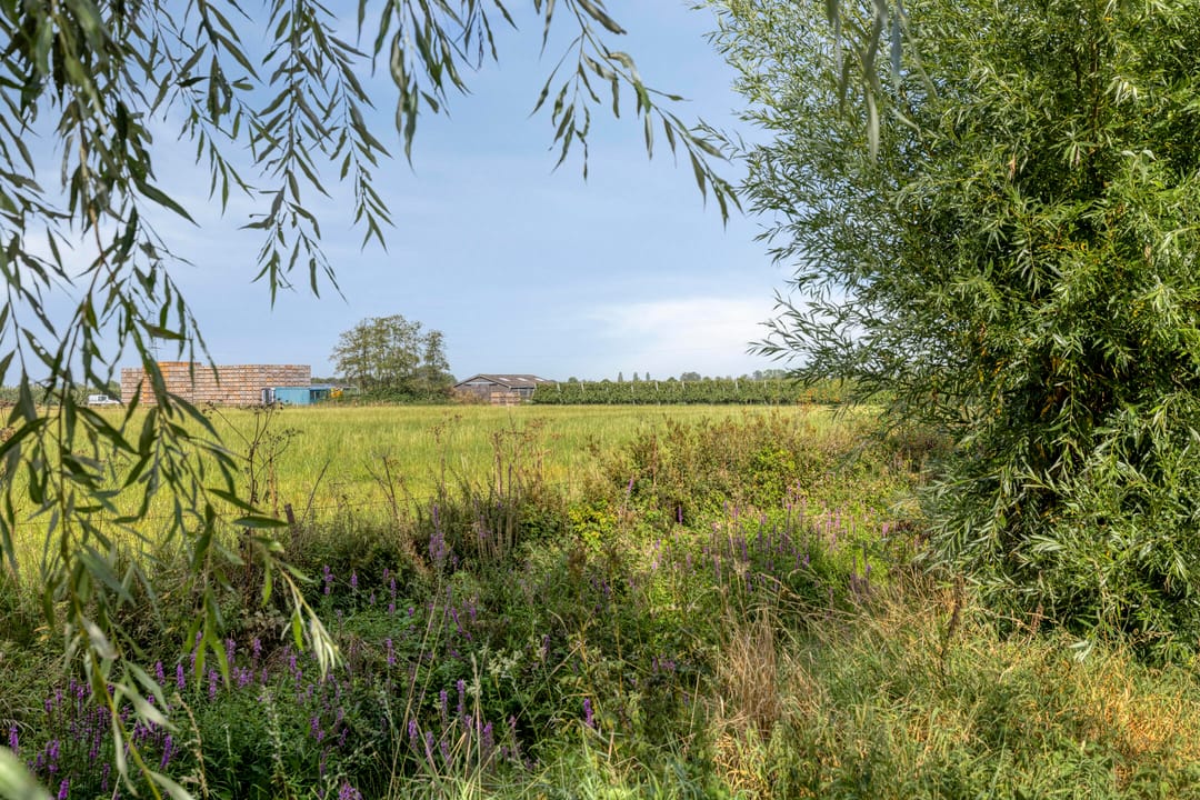 Photo 41 of Richtershof 29