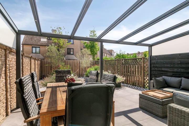 Photo 5 of Meerkoet 24