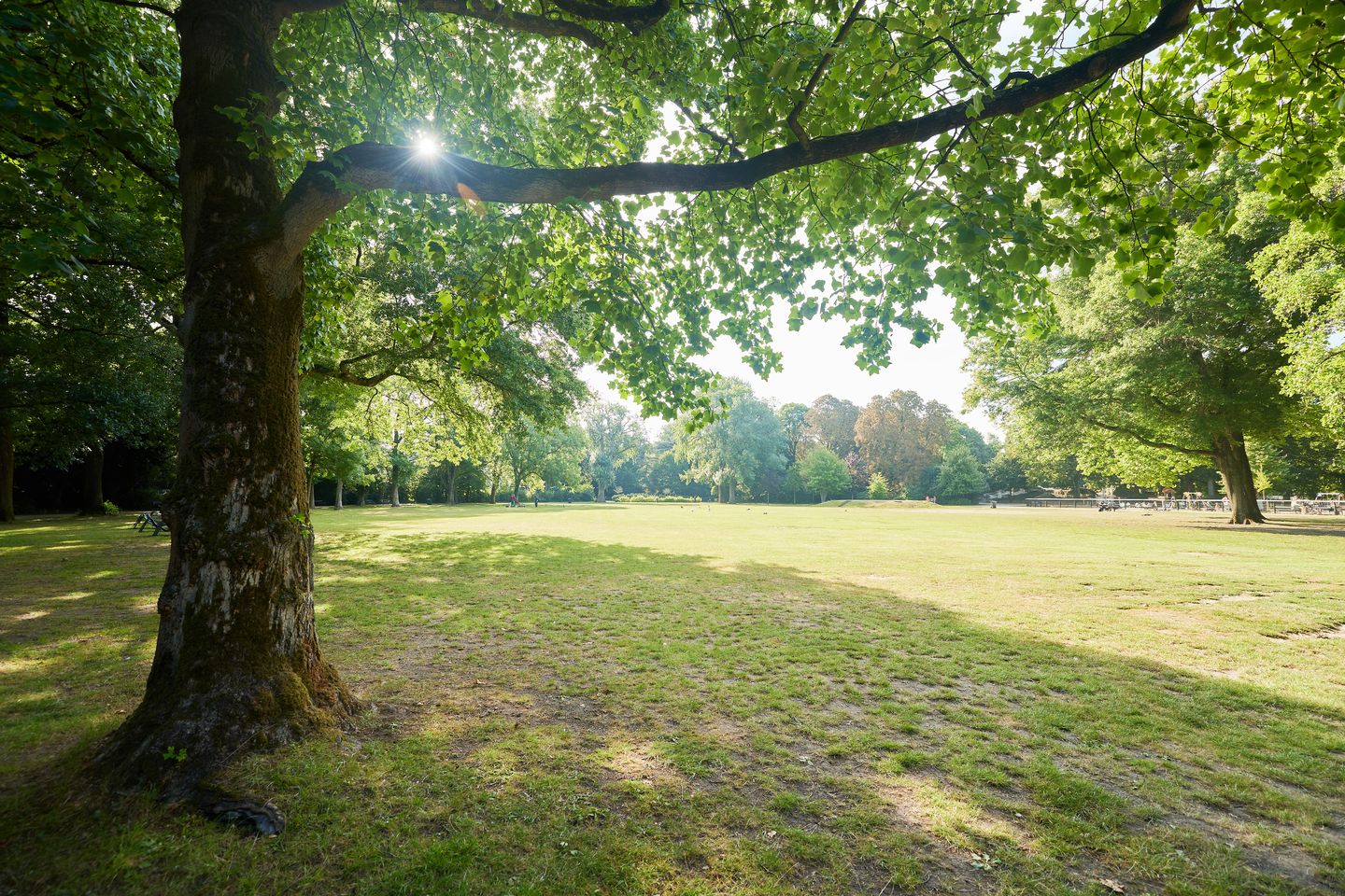 Foto 35 van Sweder van Zuylenweg 34-B