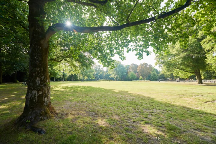 Foto 35 van Sweder van Zuylenweg 34-B