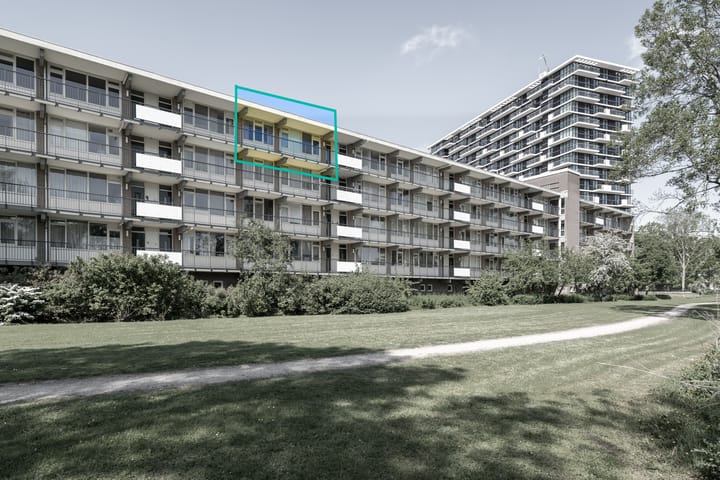 Foto 2 van Biesbosch 199