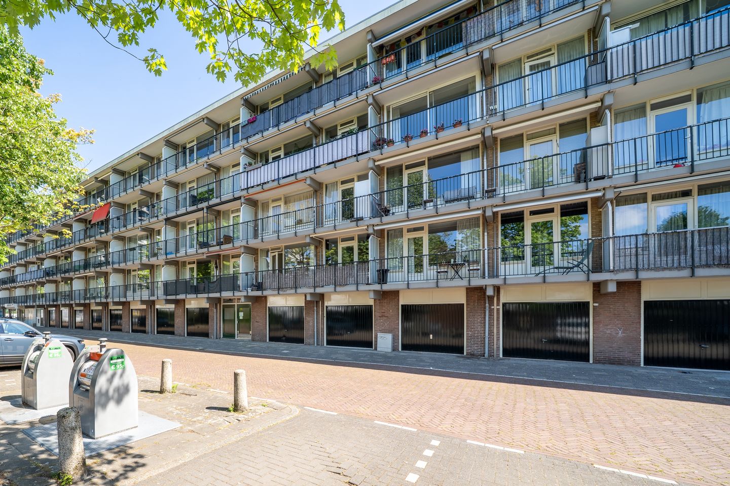 Foto 5 van Biesbosch 199