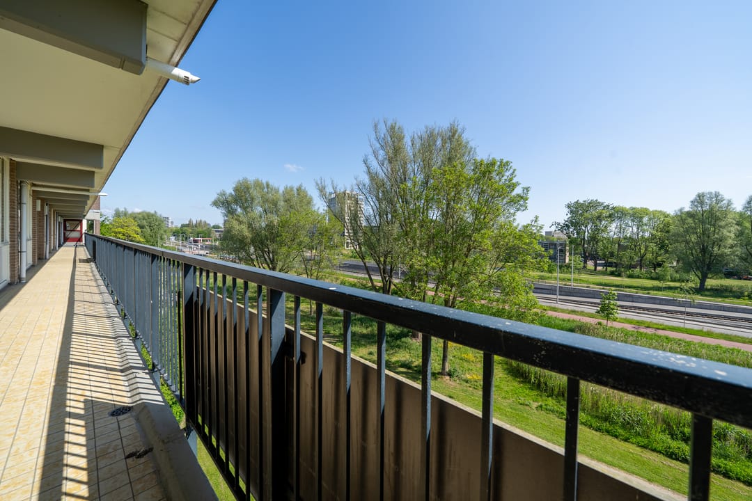 Foto 8 van Biesbosch 199