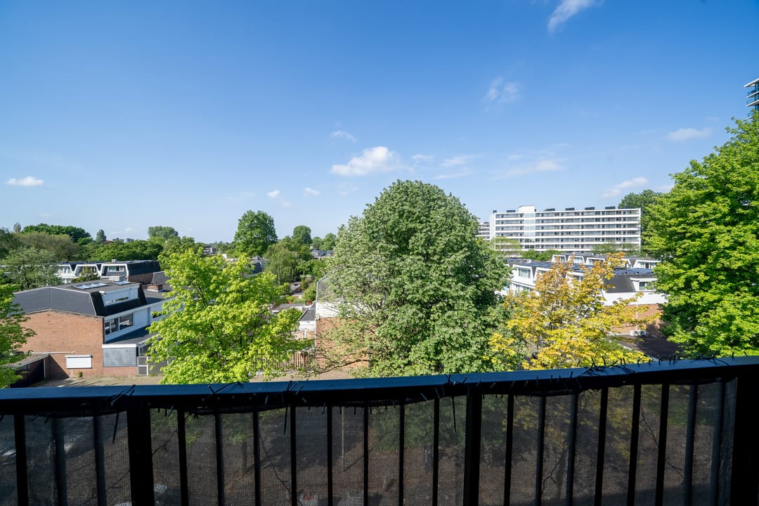 Foto 22 van Biesbosch 199