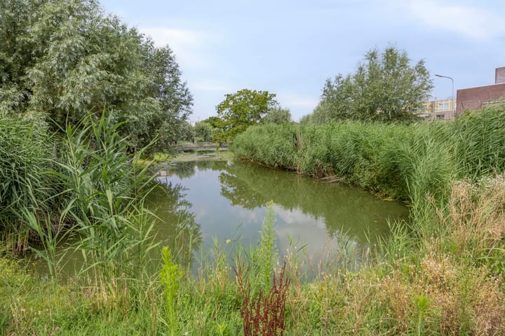 Foto 35 van Vinkeveldpoldersingel 25