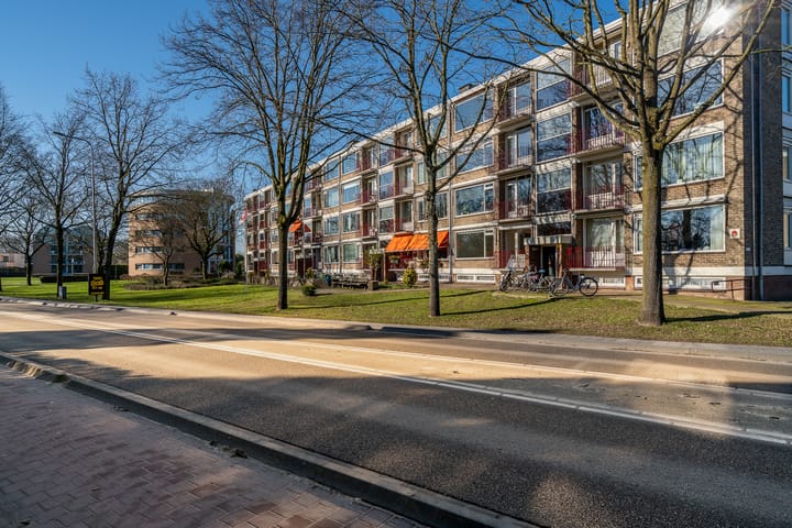 Foto 24 van Stadswal 24-C