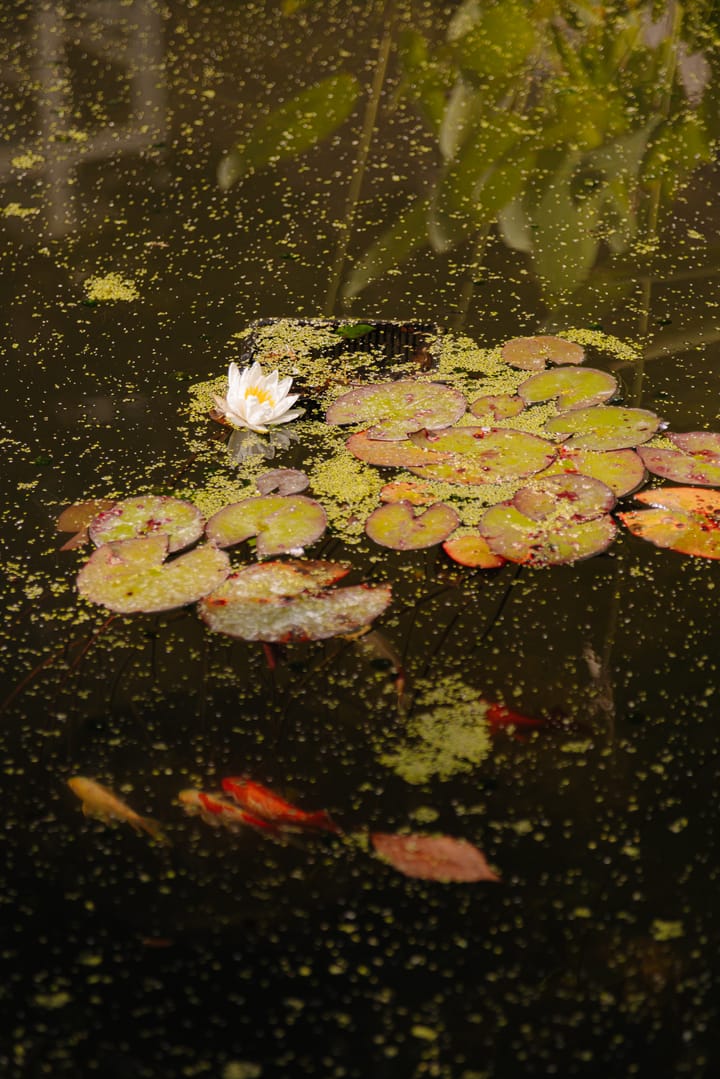 Foto 68 van Herengracht 529