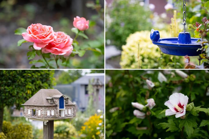 Photo 82 of Saint Rémylaan 44