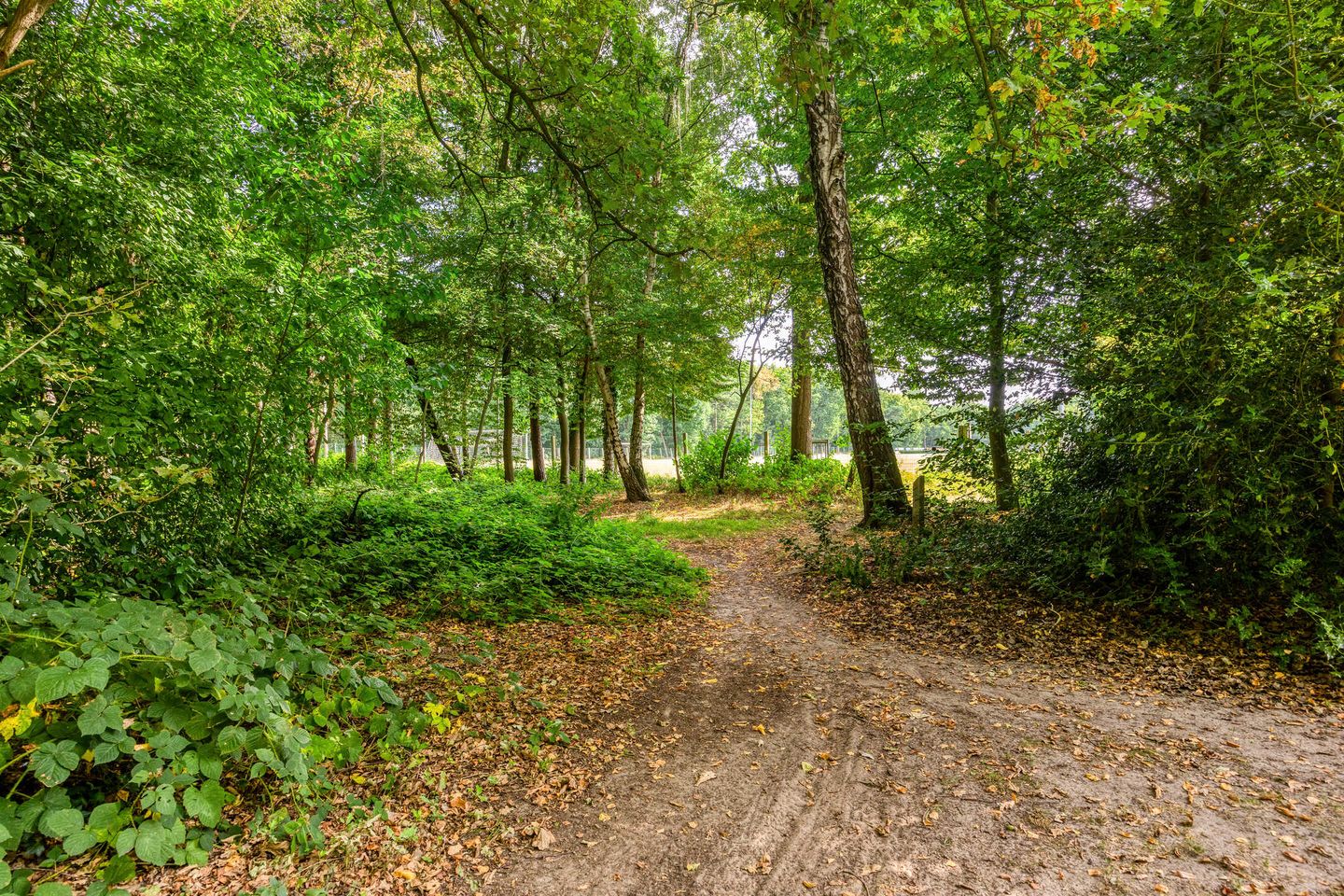 Photo 44 of Heikampseweg 74