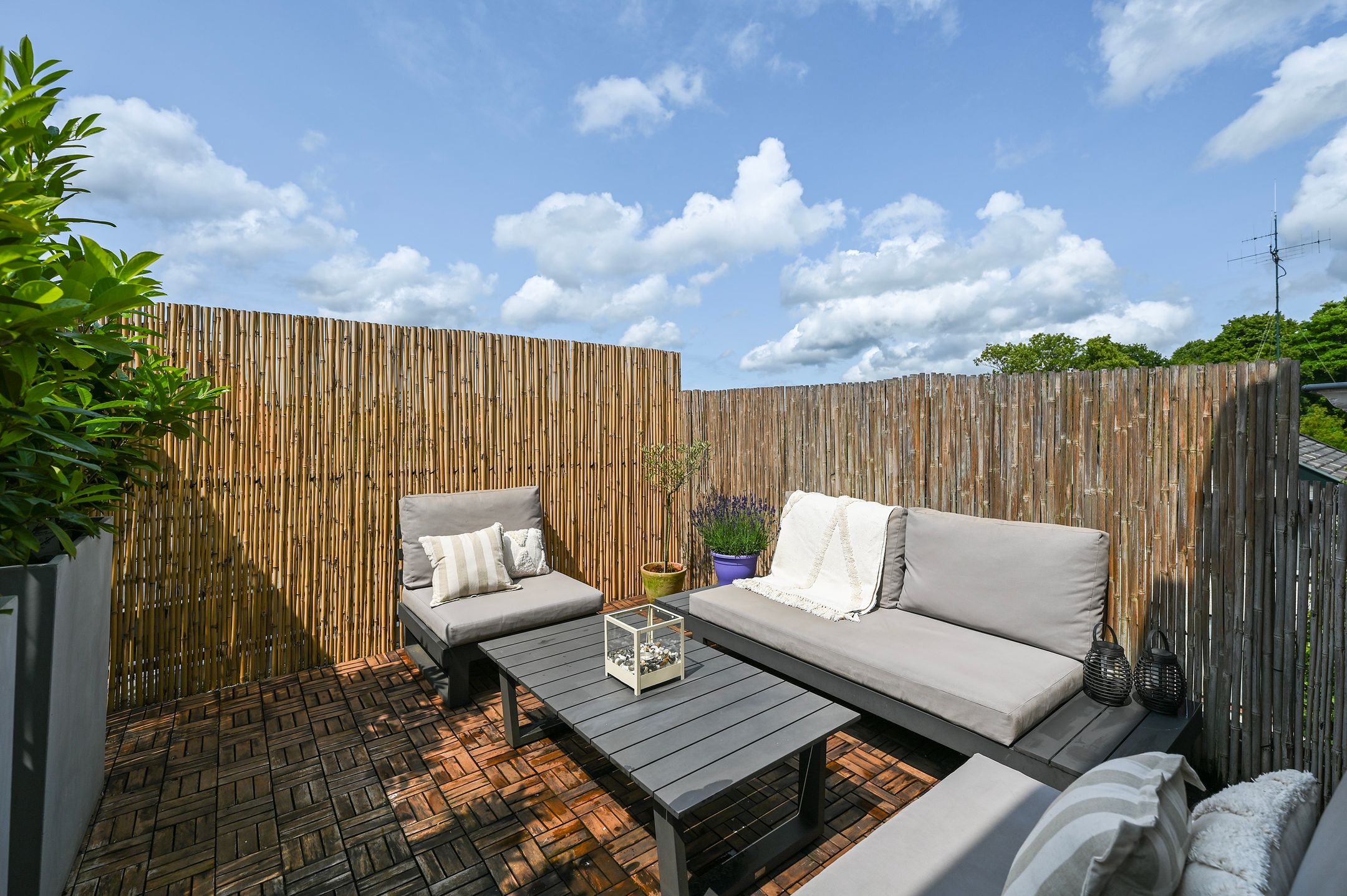 Foto 27 van Zuyderloostraat 3