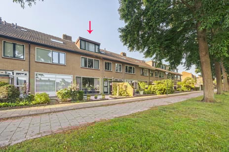 Groot Veldsweer thumbnail