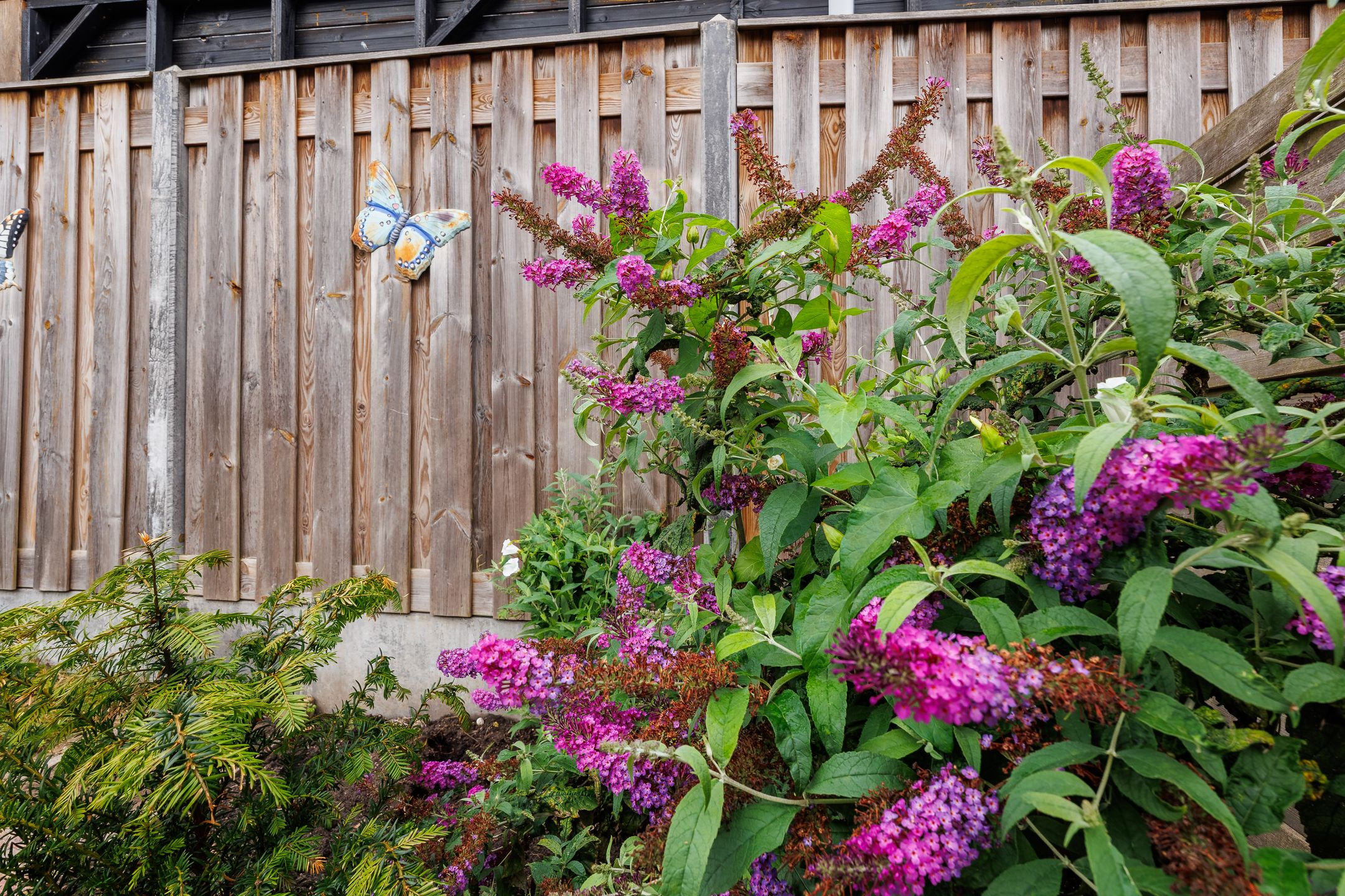 Foto 21 van Hinkerstraat 19