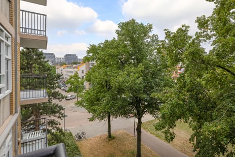 Robert Baeldestraat thumbnail