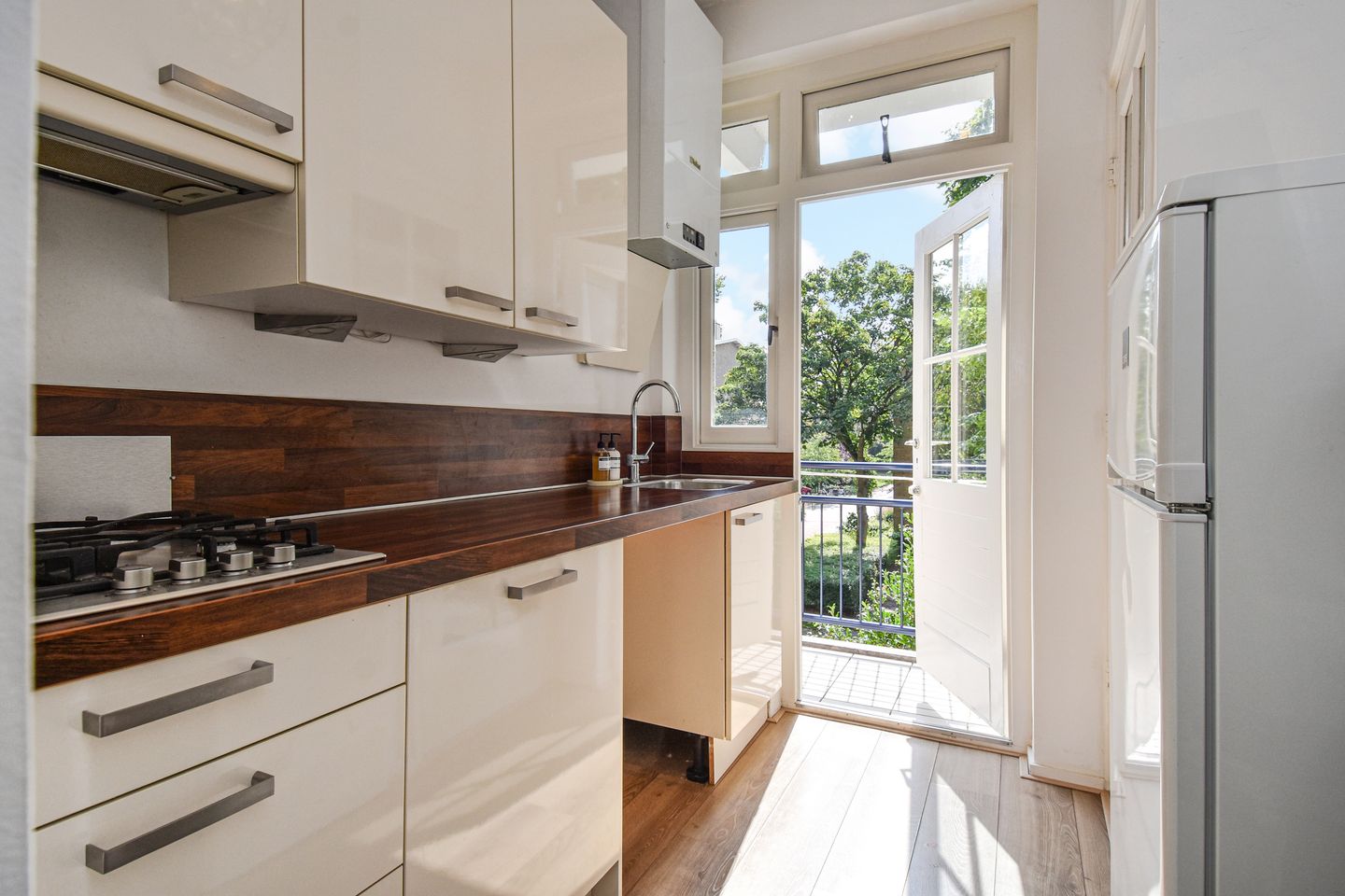 Foto 20 van Frans Halskade 189