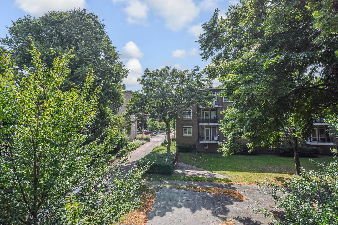 Foto 22 van Frans Halskade 189