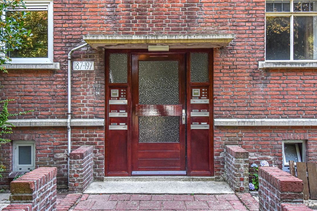 Foto 41 van Frans Halskade 189