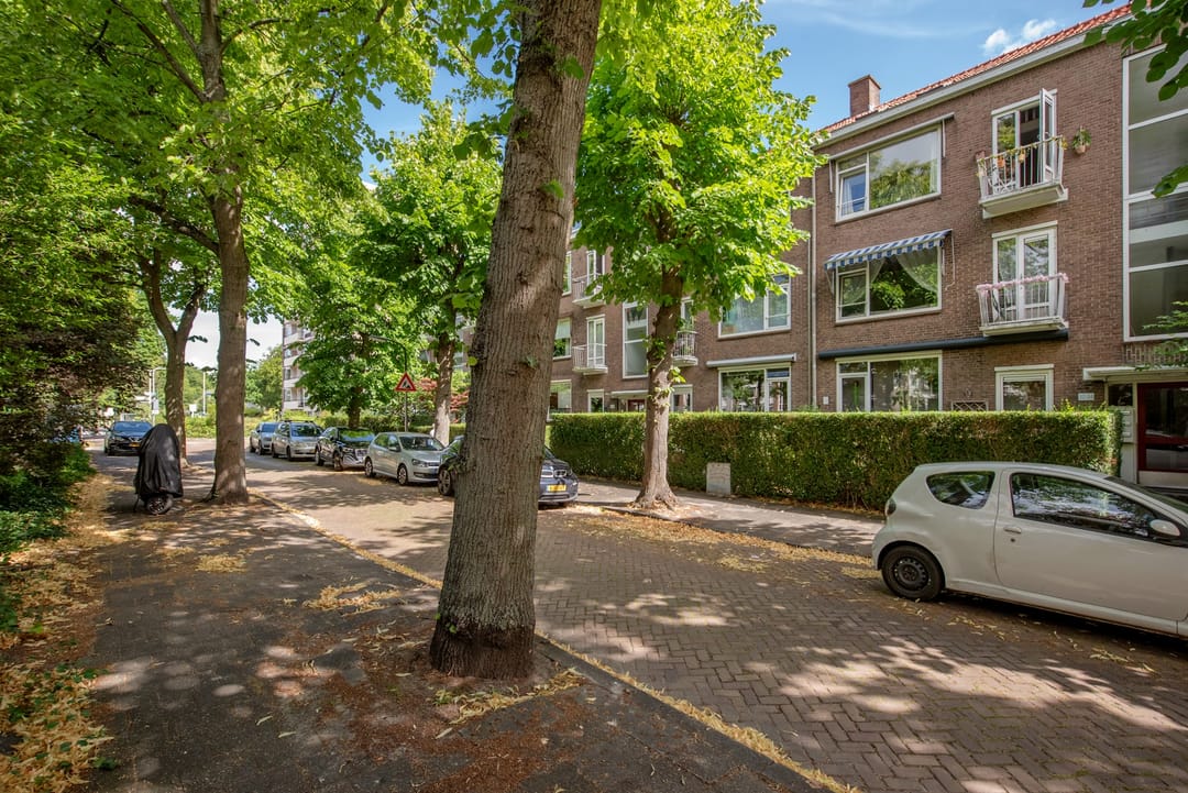 Photo 22 of Cornelis Suyslaan 34