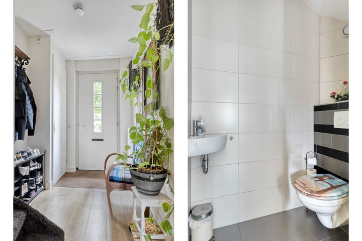 Foto 10 van Vollenhove 6