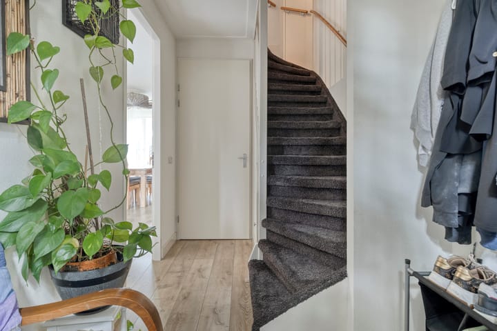 Foto 3 van Vollenhove 6