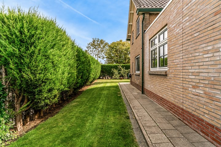 Foto 46 van Kraaiebuurt 1