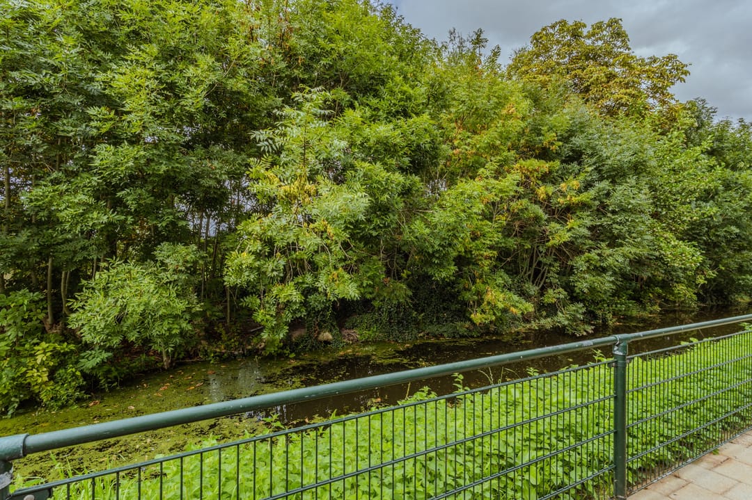 Foto 32 van Het Bos 9