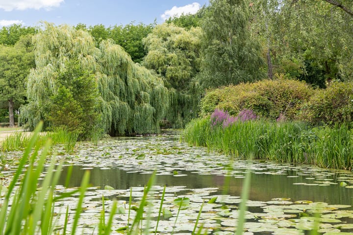 Foto 46 van Zuiderparkweg 256