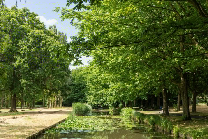 Foto 47 van Zuiderparkweg 256