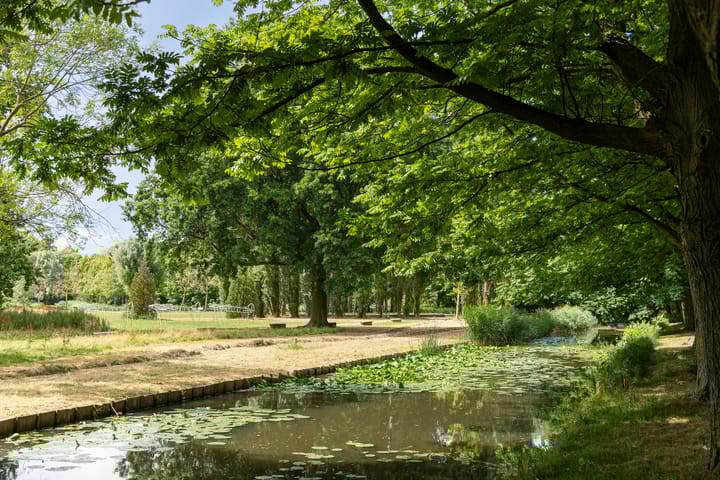 Foto 48 van Zuiderparkweg 256