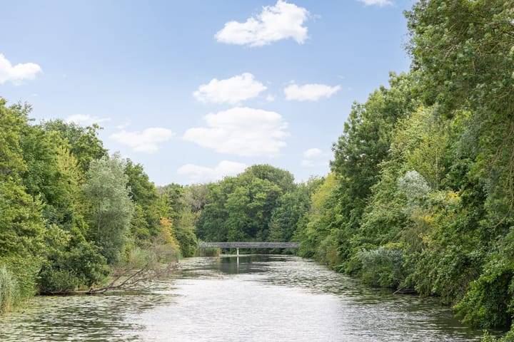 Foto 50 van Zuiderparkweg 256