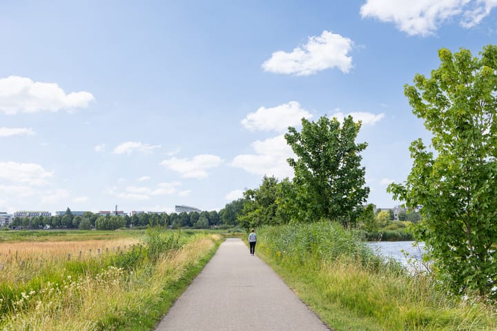 Foto 52 van Zuiderparkweg 256