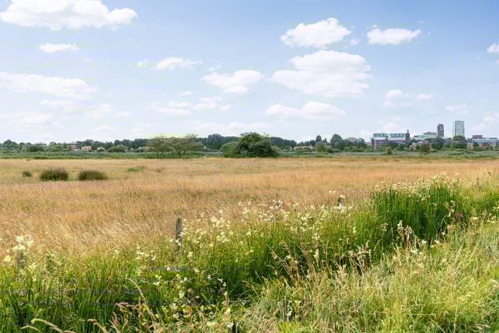 Foto 53 van Zuiderparkweg 256