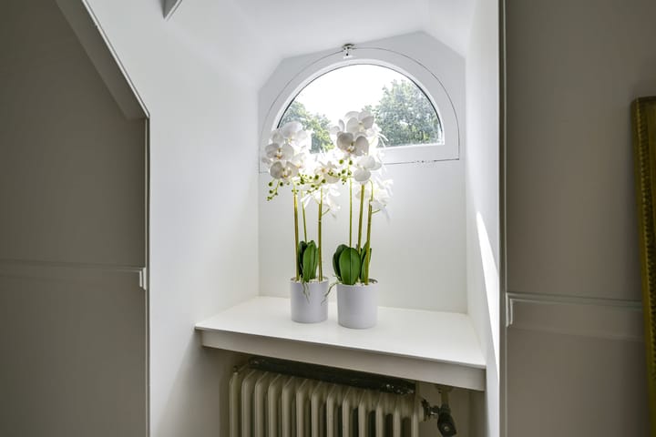 Foto 25 van Driebergseweg 5