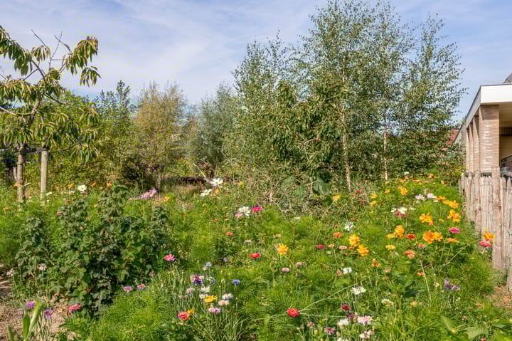 Foto 39 van Ringoven 2