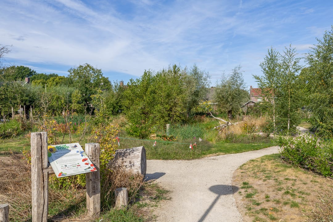 Photo 38 of Ringoven 2