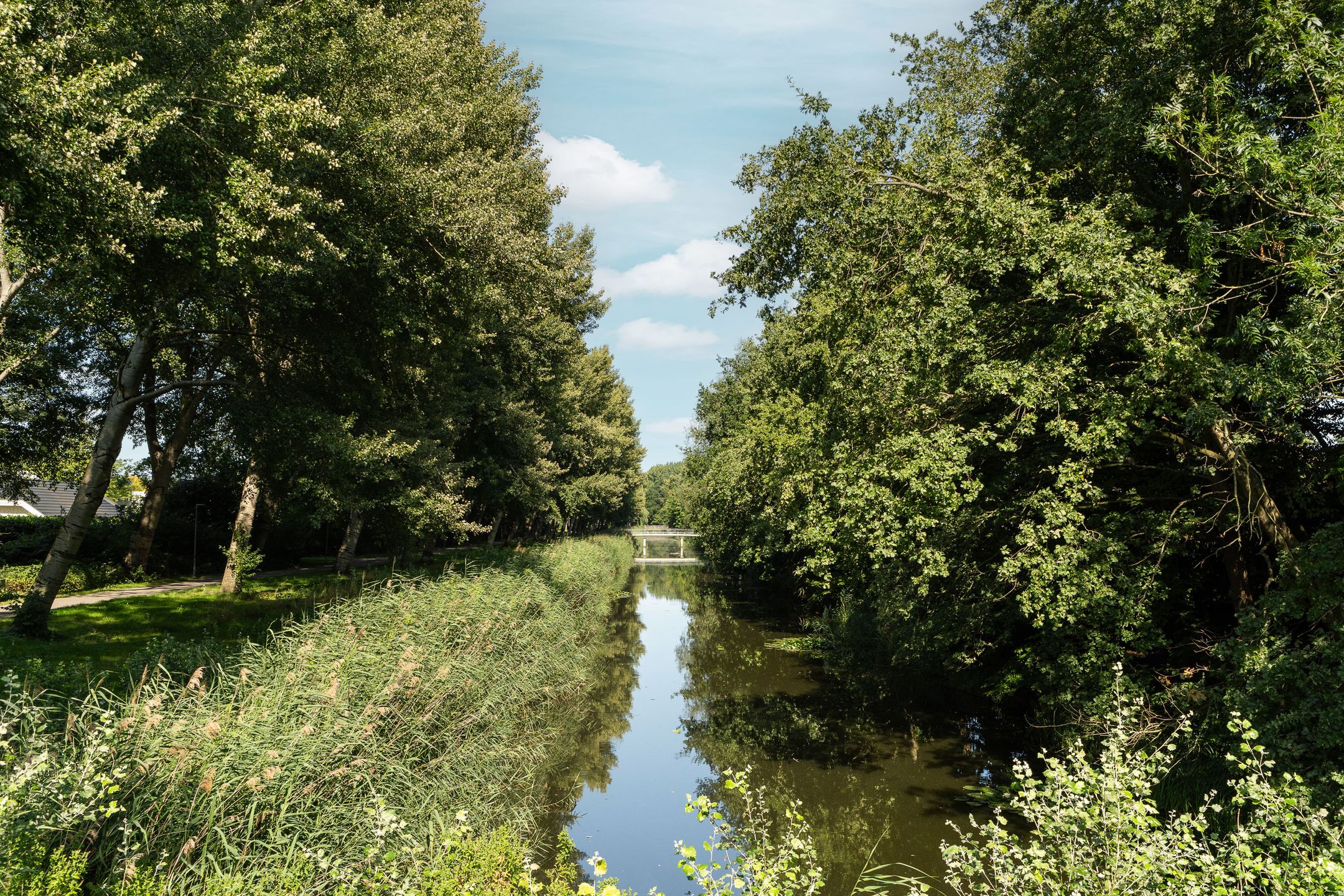 Photo 60 of Stellingmolenstraat 36