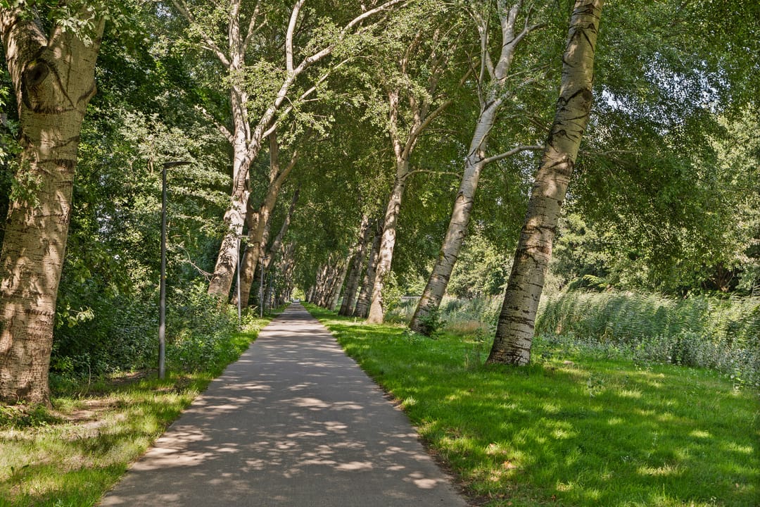 Photo 61 of Stellingmolenstraat 36