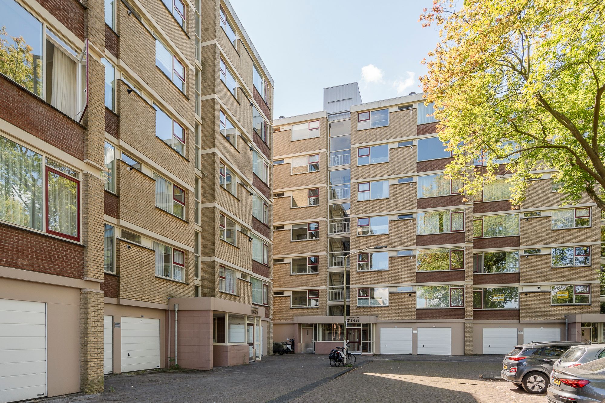 Apollolaan, 212, Leiden, 2324BW, Zuid-Holland, Nederland 212