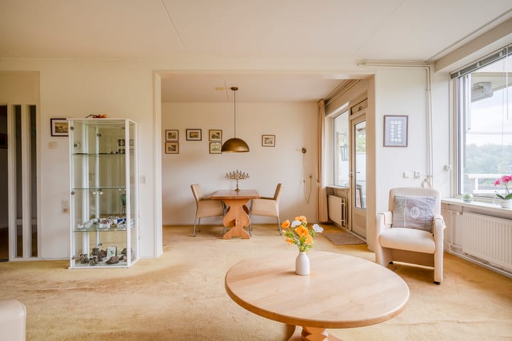 Foto 19 van Apollolaan 212