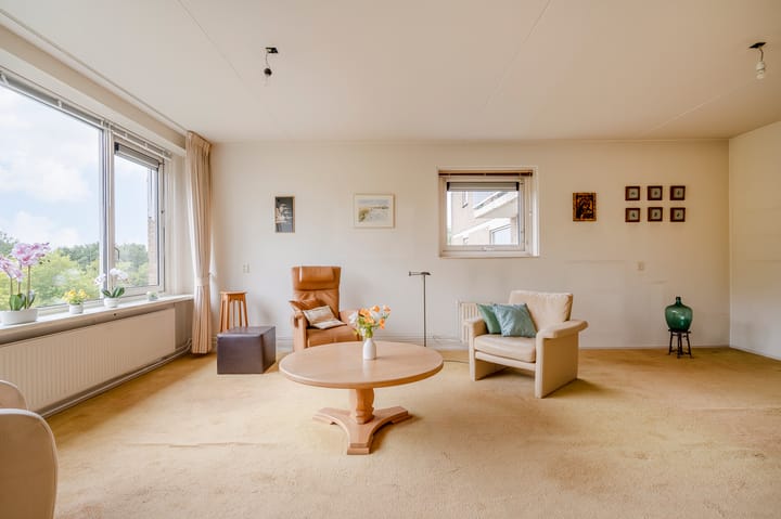 Foto 20 van Apollolaan 212