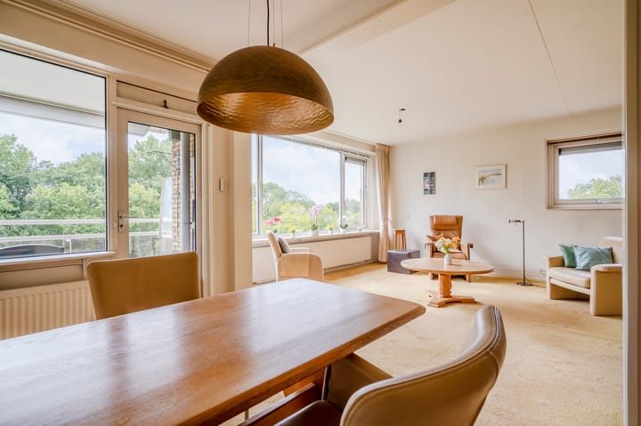 Foto 22 van Apollolaan 212